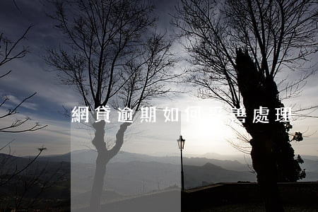 網貸逾期：如何妥善處理？